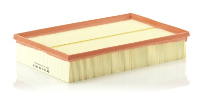 MANN-FILTER C 30 189 Filtru aer foto