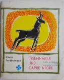 Insemnarile unei capre negre - Florin Iordachescu - Roman - Beletristica
