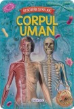Descopăr și mă joc - Corpul uman - Paperback - *** - Girasol