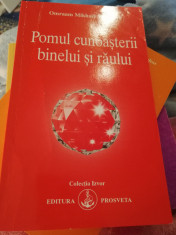 POMUL CUNOASTERII BINELUI SI RAULUI DE AIVANHOV foto