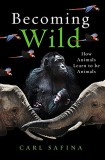 Becoming Wild | Carl Safina, Oneworld Publications