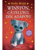 Cumpara ieftin Winston. Catelusul din adapost/Holly Webb