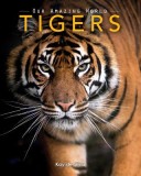 Tigers: Amazing Pictures &amp; Fun Facts on Animals in Nature