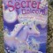 MY SECRET UNICORN - LINDA CHAPMAN