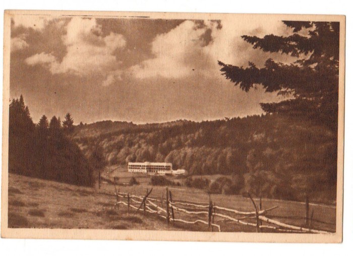 CPIB 16504 CARTE POSTALA - PE VALEA RAULUI REPEDEA, RPR, LIBRARIA NOASTRA