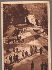 CPI B14600 - CARTE POSTALA - SLANIC MOLDOVA, ALEEA APELOR MINERALE