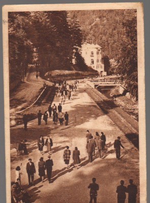 CPI B14600 - CARTE POSTALA - SLANIC MOLDOVA, ALEEA APELOR MINERALE foto