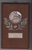 Placheta fotbal Germania FC Viktoria 1913 KAHL, Europa