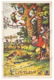 2502 - Comic Royalty, Romania, Russia, Bulgaria, Greece - old postcard - unused, Necirculata, Printata