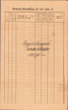 HST A1202 Buget cheltuieli 1895 grădinița de copii Tomnatic Timiș Banat
