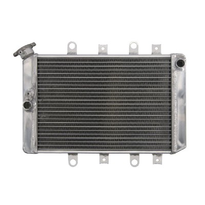 RADIATOR YAMAHA YFM 550/700 2009 2014 foto