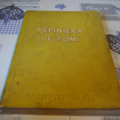 Pepiniera de pomi - colectiv de autori - 1960