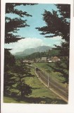 RF218 - Carte Postala - Predeal, circulata 1966