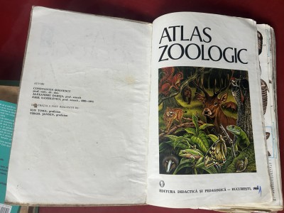 Constantin Bogoescu - Atlas zoologic -1980 foto