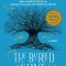 The Buried Giant