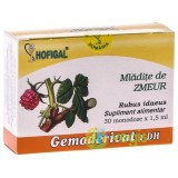 Mladite Zmeur 30 Monodz