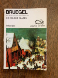 Arturo Bovi - Bruegel