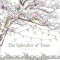 The Splendor of Trees Coloring Book