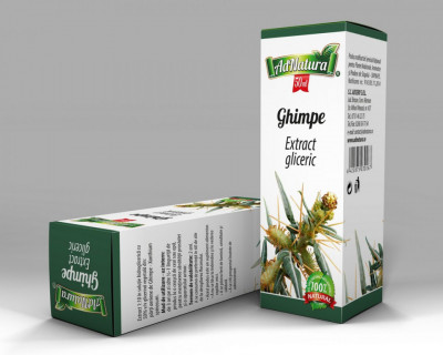 Extract gliceric ghimpe 50ml foto