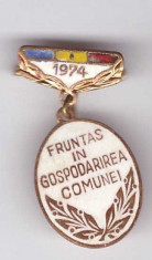 Insigna Fruntas in gospodarirea comunei 1974 foto