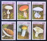 Ciuperci - Guineea (Republique de Guinee) 1996 - Set Complet 6 Timbre Individuale Floră &amp; Botanică (Ștampilat) CP1_II