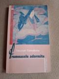 YASUNARI KAWABATA , FRUMOASELE ADORMITE
