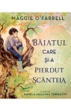 Baiatul care si-a pierdut scanteia - Maggie O&#039;Farrell