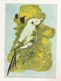 RF185 - Carte Postala - Ilustratia vol. Prisaca de T. Arghezi, circulata 1977