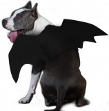 Ching Costum de pisică Halloween Aripi de liliac pentru animale de companie Costum de liliac pentru c&acirc;ine mari, Oem