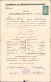 HST A1856 Certificat școlar 1918 T&acirc;rgu Mureș