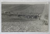 MILITARI ROMANI INTORSI DE LA EXERCITII DE TRAGERE IN CAMP, ZONA TIMISOAREI , FOTOGRAFIE TIP CARTe POSTALA , SEPT. 1932