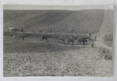 MILITARI ROMANI INTORSI DE LA EXERCITII DE TRAGERE IN CAMP, ZONA TIMISOAREI , FOTOGRAFIE TIP CARTe POSTALA , SEPT. 1932 foto