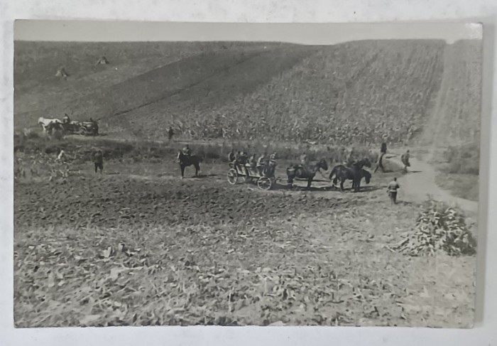 MILITARI ROMANI INTORSI DE LA EXERCITII DE TRAGERE IN CAMP, ZONA TIMISOAREI , FOTOGRAFIE TIP CARTe POSTALA , SEPT. 1932