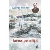 Iarna pe ulita - George Cosbuc