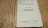 SATUL MEU - Ion Pillat - I. TEODORESCU-SION (gravuri) - CARTEA VREMII 3 dublu, Colectia Enciclopedica, 1923, 112 p.
