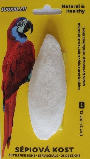 Os sepie cca 12 cm