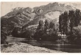 CPIB 22499 - CARTE POSTALA - MUNTII FAGARASULUI. VALEA ARIESULUI, RPR, Circulata, Fotografie
