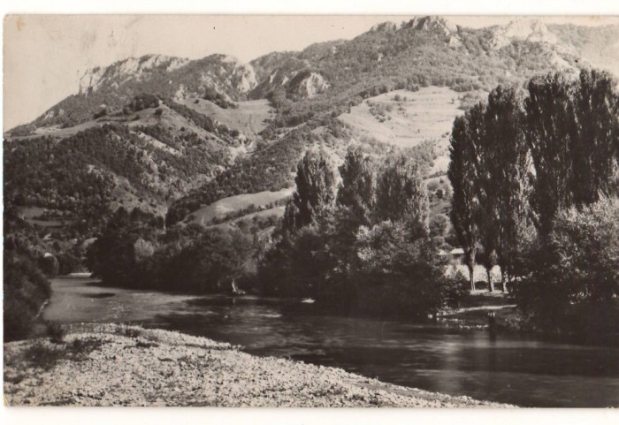CPIB 22499 - CARTE POSTALA - MUNTII FAGARASULUI. VALEA ARIESULUI, RPR