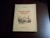 Monografia Botosani - Artur Gorovei 1926, Editie Princeps, 460 p. Ilustratii - Cartea Orasului Botosani