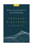 Cumpara ieftin Furtuna dinaintea linistii