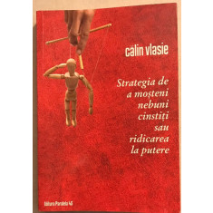 Strategia de a mosteni nebuni cinstiti sau ridicarea la putere - Calin Vlasie