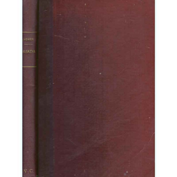 Homer - Iliada - 131525
