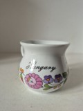 Căniță / Ceșcuță vintage din porțelan suvenir Szolnok (Ungaria) &ndash; Decor floral tradițional, Kalocsa, Pictată manual
