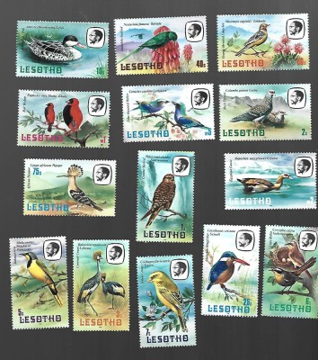 lesotho pasari mnh foto