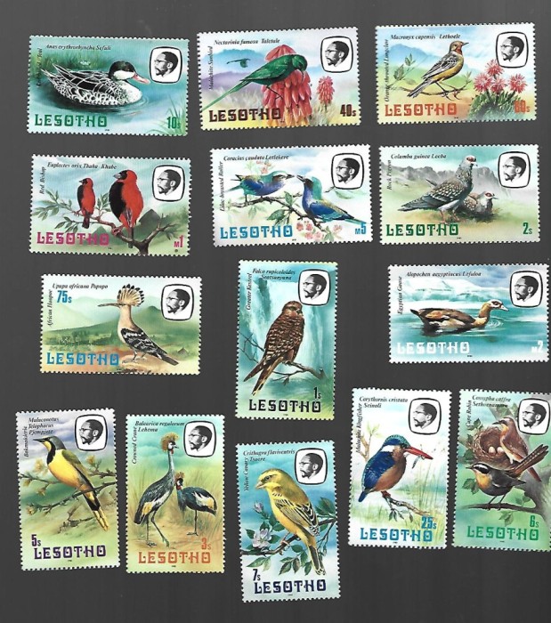 lesotho pasari mnh