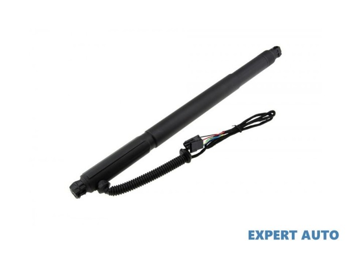 Telescop haion BMW X6 (2008->) [E71, E72] #1