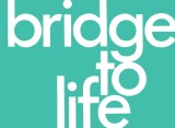 Bridge to Life (Green) 25-Pack