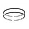 Set segmenti Aprilia Mojito - Gilera - Piaggio Free - Liberty - NRG - Typhoon - Vespa ET2 - LX AC 2T 70cc D48.00x1.5 (Top Performance)
