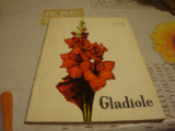 Preda / Litan - Gladiole - 1969, Alta editura