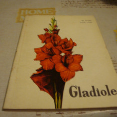 Preda / Litan - Gladiole - 1969